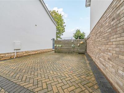 Picture 24